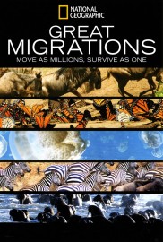 Great Migrations