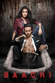 Baaghi