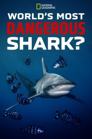 World's Most Dangerous Shark?