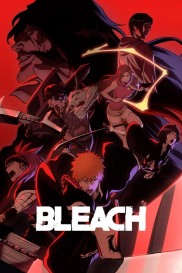 Bleach Bleach