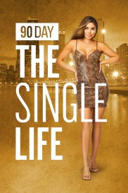 90 Day: The Single Life