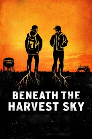 Beneath the Harvest Sky