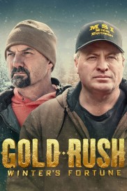 Gold Rush: Winter's Fortune