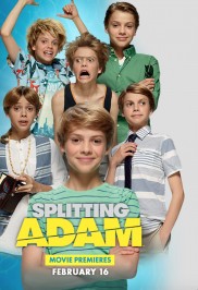 Splitting Adam